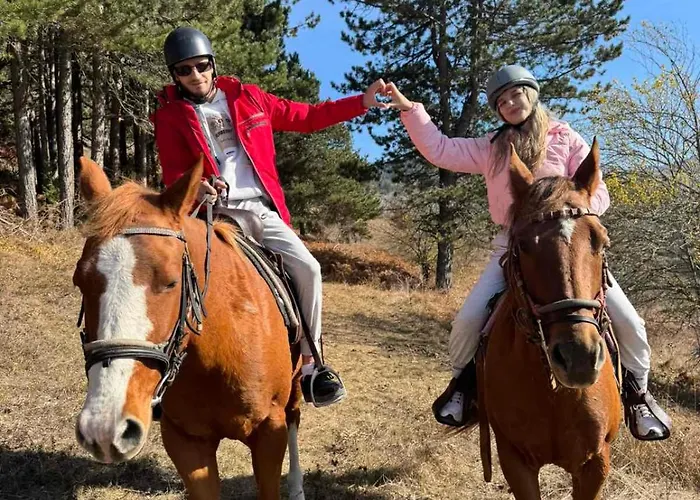 Mursal Hotell Jagodina