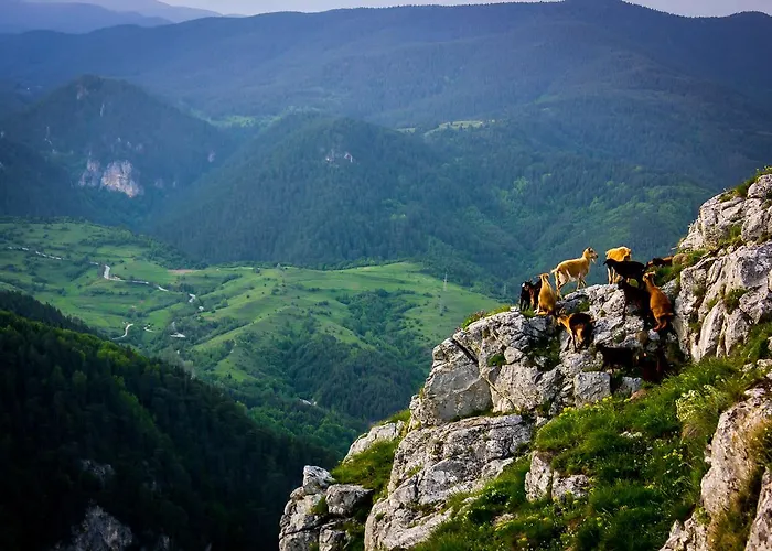 Mursal Hotell Jagodina